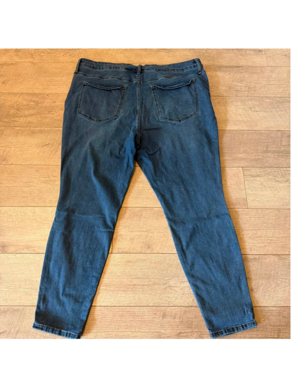 Women's Terra & Sky Skinny Jeans Blue Size 22W